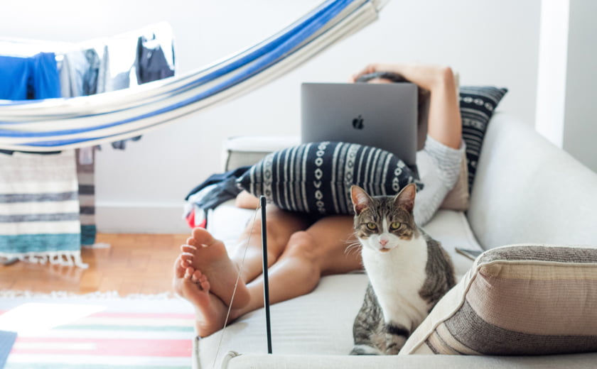 Mačka na kavču viseča mreža