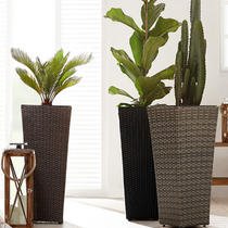 modne sobne rastline