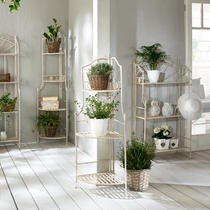 modne sobne rastline