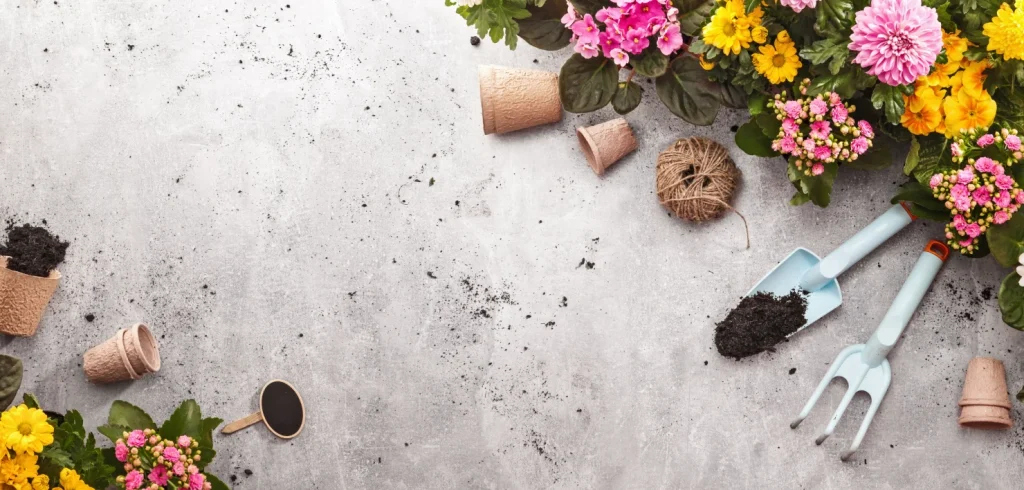 10 nasvetov za vrtnarjenje med poletjem