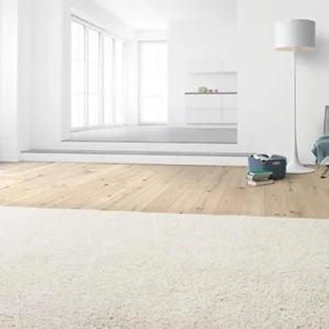 Prihaja nova energijska nalepka EU za sesalnike. Katere so njene novosti in kako nam lahko pomaga pri nakupni odločitvi?