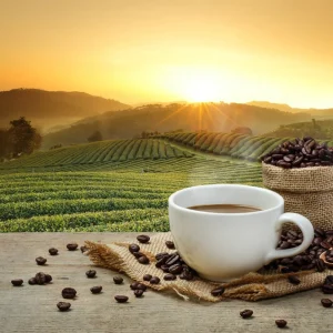 Kavni aparati Nespresso: Vaše izjemno doživetje kave se začne tukaj