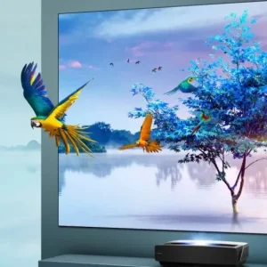 OLED in ULED: razlike v tehnologijah televizorjev