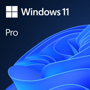 Microsoft Windows Pro 11 DSP/OEM angleški