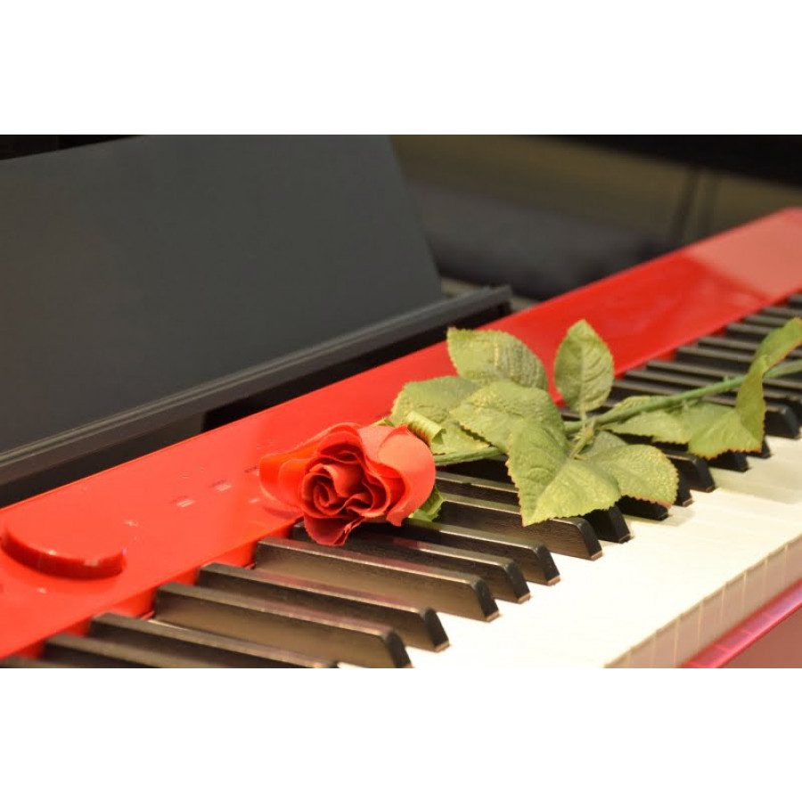 CASIO prenosni električni klavir PX S1000 - Casio PX-S1000 je nov model prenosnega pianina v Privia seriji. Ima izboljšano tipkovnico (scaled hamer action