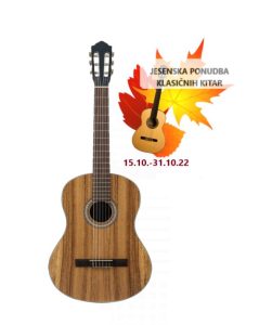 FLIGHT C-110 TEAK 4/4 klasična kitara - Klasična kitara v mat barvi - prizvajalec Flight: Pokrov: Tikovina
