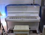 Pianino YAMAHA U1 - Vrhunski model pianina YAMAHA U1 (obnovljeni) v beli lakirani barvi. Višina 121 cm, beli visoki sijaj. Brezplačno ob nakupu prejmete: