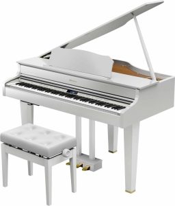 ROLAND GP 607 PE - slika 9