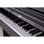 STANDORF ETUDE električni klavir - Odličen instrument z elegantnim in modernim designom se bo popolnoma podal v vsako sobo ali dnevni prostor.Poleg