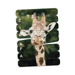 Zlaganje izboljšuje sposobnost osredotočanja in motorične sposobnosti, spodbuja h koncentraciji na nalogo in k opazovanju detajlov ter krepi vztrajnost za