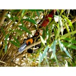 AKUMULATOR. VERIŽNA ŽAGA WORX ENOROČNA ŽAGA 2AH BATERIJA IN POLNILNIK - slika 5