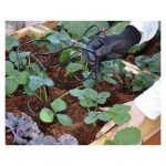 DODATNI KOMPLET ZA KAPLJIČNO NAMAKANJE PALRAM ZA RASTLINJAK - slika 4