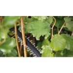 AKUM. ŠKARJE ZA ŽIVO MEJO BOSCH UNIVERSALHEDGECUT 50CM 18V Z 2.5AH BAT.IN POLN. - slika 3