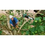 AKUMULATOR. VIŠINSKA ŽAGA BOSCH UNIVERSALCHAINPOLE 18 - slika 2