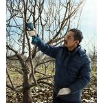 AKUMULATORSKE ŠKARJE BOSCH PROFESSIONAL PRO PRUNER 12V 3AH POLNILNIK+2 BATERIJI - slika 6