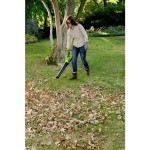 AKUMULATORSKI PUHALNIK GREENWORKS 40V 2AH AKSIALNI Z BATER. IN POLNILNIKOM