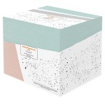 SET KROŽNIKOV TOGNANA 18 DELNI MOON PASTEL - slika 5