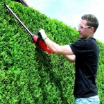 ELEK. ŠKARJE ZA ŽIVO MEJO EINHELL GH-EH 4245 420 W 45 CM - slika 4