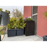 ROTO ZBIRALNIK DEŽEVNICE RAIN BOX 80 L - slika 2