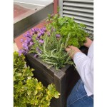 ROTO ZBIRALNIK DEŽEVNICE RAIN BOX 80 L - slika 3