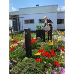 ROTO ZBIRALNIK DEŽEVNICE RAIN BOX 80 L - slika 5