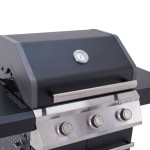 PLINSKI ŽAR NATERIAL NATERIAL KENTON II 3G - slika 4