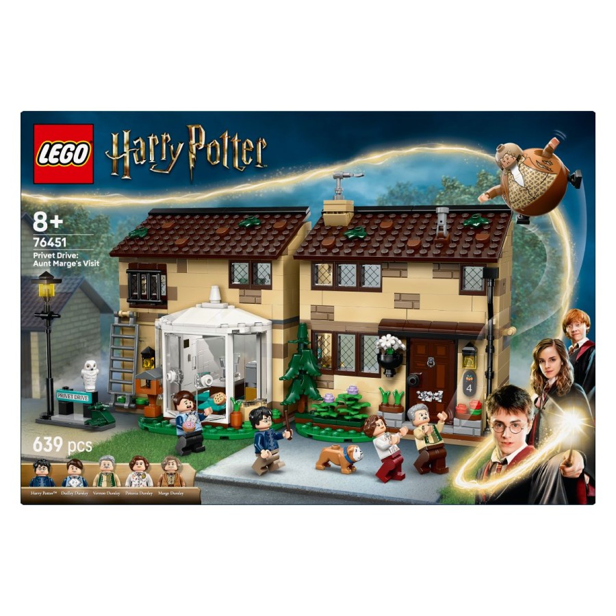 da ne spustiš kolača! Z okna sobe Harryja Potterja snemi rešetko