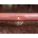 VITAVIA RWK50 REZERVOAR Z DEŽEVNICO - slika 3