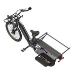 ELEKTRIČNO KOLO A DECE OASIS OASIS 261T TOVORNO E-KOLO Z DVEMA BATERIJAMA, SIV - slika 4