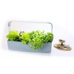 PAMETNI CVETLIČNI LONEC TREGREN T12 SIV KUHINJSKI VRTIČEK - slika 3