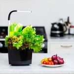 PAMETNI CVETLIČNI LONEC TREGREN T3 ČRN KUHINJSKI VRTIČEK - slika 3