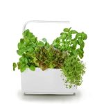 PAMETNI CVETLIČNI LONEC TREGREN T6 BEL KUHINJSKI VRTIČEK - slika 2