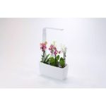 PAMETNI CVETLIČNI LONEC TREGREN T6 BEL KUHINJSKI VRTIČEK - slika 4