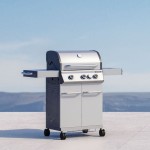 PLINSKI ŽAR NATERIAL NATERIAL HUDSON 3G. - slika 2