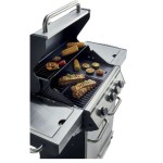 PLINSKI ŽAR NATERIAL NATERIAL HUDSON 3G. - slika 3