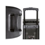 PRENOSNI KARAOKE ZVOČNIK MANTA SPK5021 PRO FONOS ČRN - slika 3