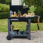 STOJALO ALI VOZIČEK NATERIAL VENTURA 100X50 - slika 3