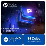 TELEVIZOR PHILIPS 75PUS8919/12 - slika 2