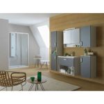 TOALETNA OMARICA KOLPA SAN TOE 55 GREY - slika 3