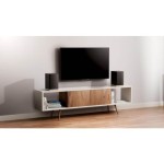 ZVOČNIK BLAUPUNKT BS60BK - slika 4