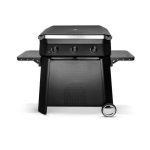 LETNA KUHINJA COZZE MIZA ZA NAMIZNE ŽARE 800 90534 - slika 2