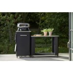 PEČ ZA PICO COZZE VRTLJIVA PLINSKA 13" (90440) PREMIUM - slika 5