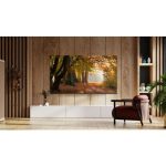 TELEVIZOR TCL 65V6B - slika 7