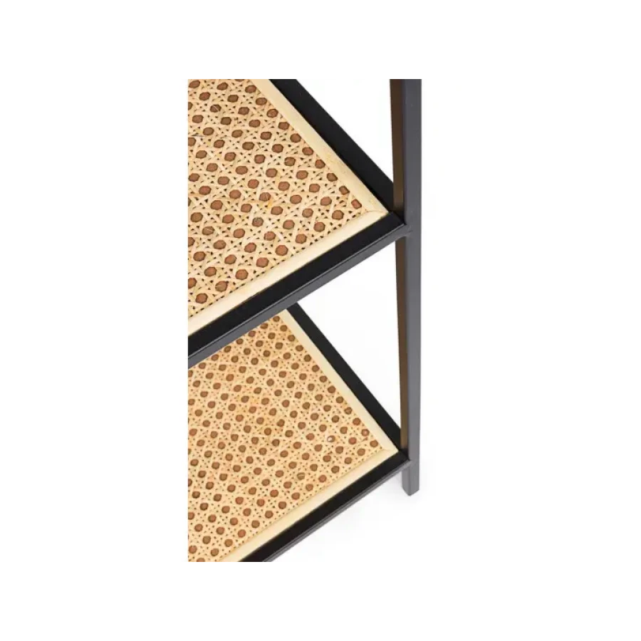 Knjižna omara ELYOT 4P ima kovinsko ogrodje in ratan kombinacijo. Samo za interno uporabo. Material: - Kovina - Ratan Barva: - Črna Dimenzije: širina: