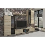 Dnevni regal CARMEN 2 . Dnevni regal CARMEN 2 je moderno oblikovan in elegantnega videza. Izdelan je v EU. Debelina iverala je 16 mm. Regal ima možnost z ali