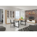 Dnevni regal FAJA 4 . Dnevni regal FAJA 4 je sestavljen iz sodobnega pohištva v beli in hrast barvi. Sestavljen je iz velike vitrine, police in TV regala.