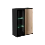 Dnevni regal KAMERON . Dnevni regal KAMERON, kateremu bio kamin v črni barvi doda eleganco ter atraktivnost. Moderen dizajn z dodatki, črnega stekla ter