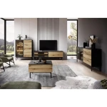 Dnevni regal LANASA . Dnevni regal LANASA, je eleganten kos pohištva, ki popestri vaš prostor s svojim luksuznim dizajnom. Narejen je iz kakovostnih