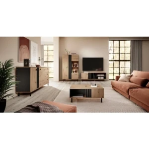 Dnevni regal LUTY . Dnevni regal LUTY je dobavljv v modernih barvah hrasta s kombinacijo antracita. Uporaba lamel je v skladu s modernimi trendi oblikovanja in