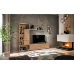 Dnevni regal ROLI je modernega dizajna. Kombinacija hrasta in svetlo sive barve se bo podala v vsak prostor. Narejen je iz kvalitetne iverne plošče. Ročke